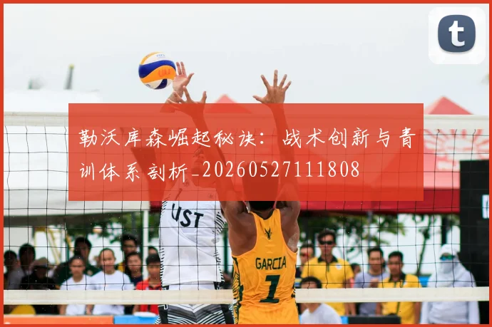 勒沃库森崛起秘诀：战术创新与青训体系剖析_20260527111808