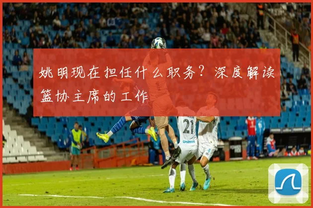 姚明现在担任什么职务？深度解读篮协主席的工作